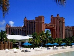 Sun loungers, beach towels - Experience Of A Lifetime.. Ultimate fun in Paradise (Paradise Island)