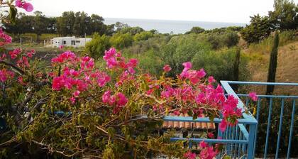 Le Muse apartment Clio sleep 4