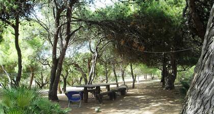 Le Muse huoneisto Clio nukkua 4