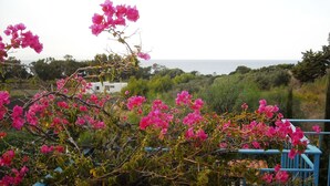 Ein Balkon mit pinkfarbenen Bougainvillea-Blüten, Blick auf das Meer und ein weißes Gebäude im Hintergrund.