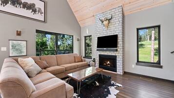 Smart-tv, pejs, dvd-afspiller