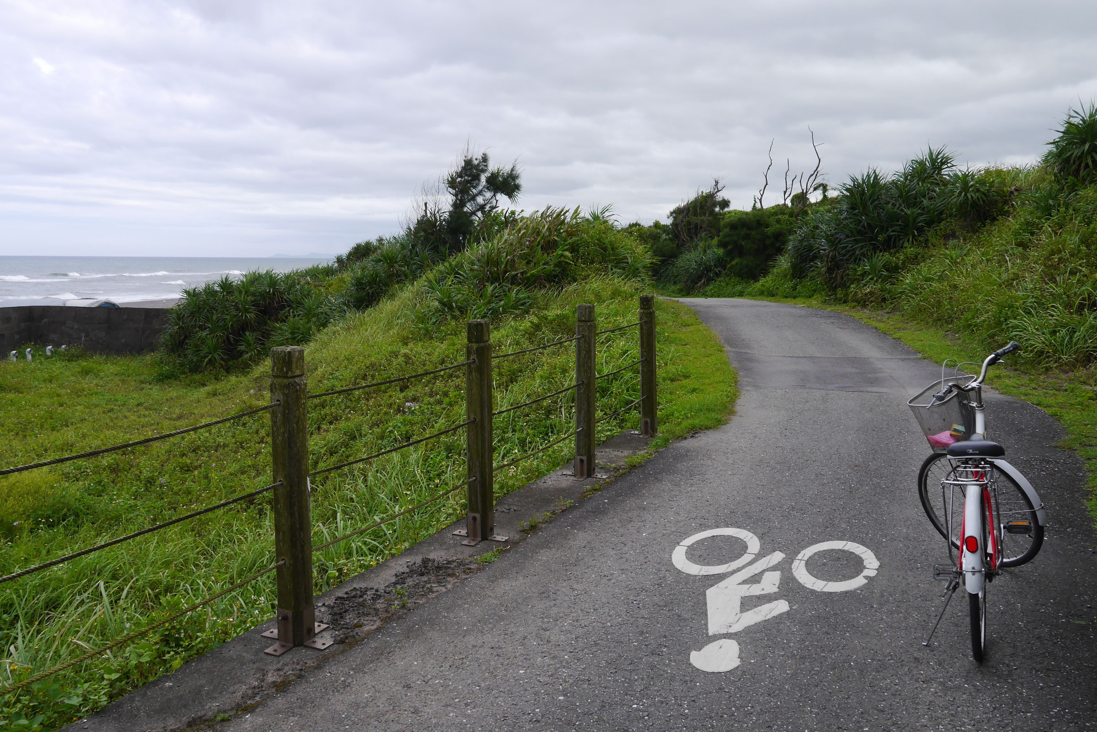 A paved path with a bicycle lane, bordered by a wooden fence and greenery, leading to the ocean.