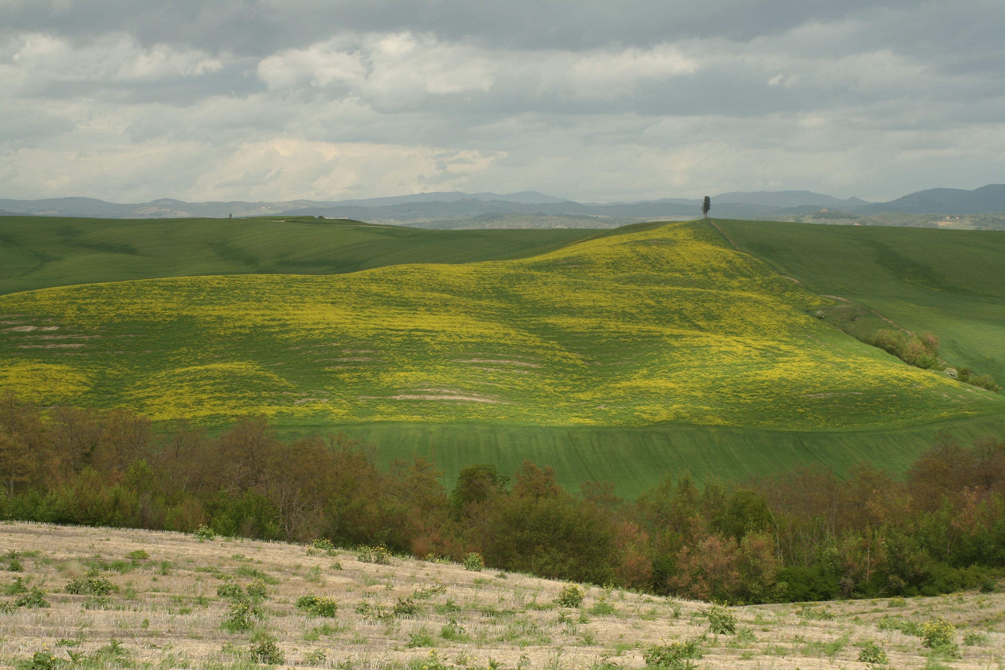 A vast landscape with rolling hills and a solitary figure in the distance.