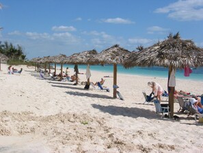 A beach with thatched umbrellas and sun loungers. - Magnificent Beach front condo with pool and restaurant/bar (Freeport)