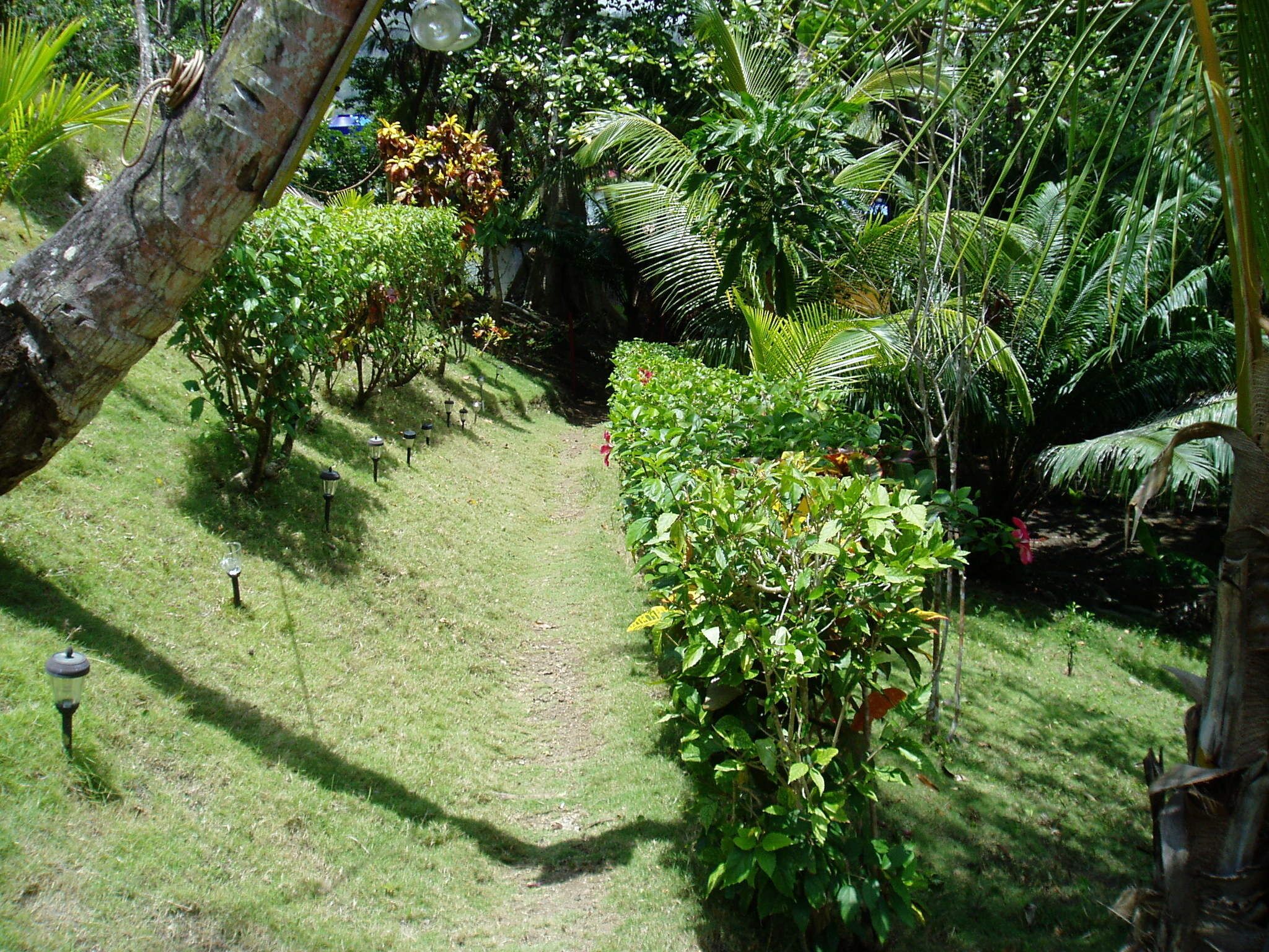 Property grounds