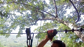 A person ziplining with a harness and gloves, overlooking a forested landscape. - River View Cabin and Hot Springs (Arizona)