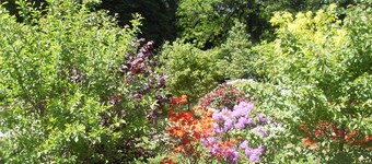 Cloverhill Gate Lodge