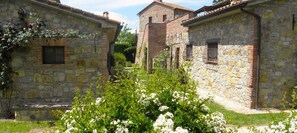 Property grounds - Times in Agriturismo Borgo Santa Maria (Monteleone d'Orvieto)