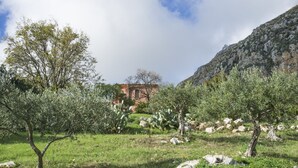 A natural landscape with olive trees, a building, and a mountain. - Marotta Chalet, on the slopes of Erice (Valderice)