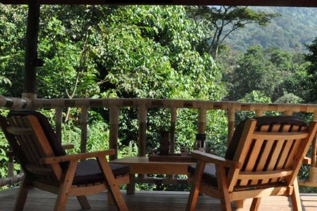 Um deck de madeira com duas cadeiras e uma mesa, com vista para uma floresta verde e exuberante.