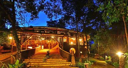 The Rainforest Geo Lodge