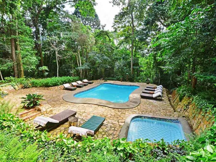 Un área de piscina rodeada de exuberante vegetación, con sillones de descanso y un pequeño jacuzzi.