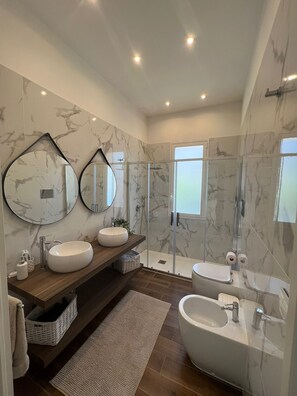 Shower, hair dryer, bidet, towels