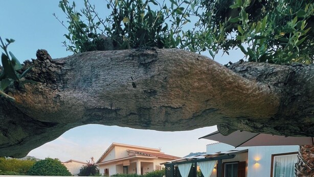 Een zwembadgedeelte met kunstgras, ligbedden en een huis met een pergola.