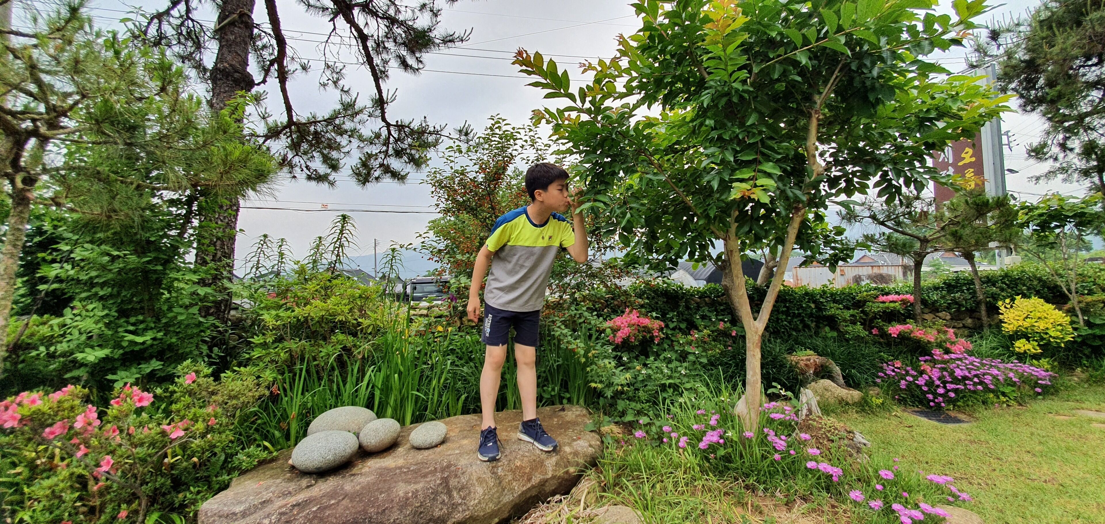 A person standing on a rock in a garden with various plants and flowers.