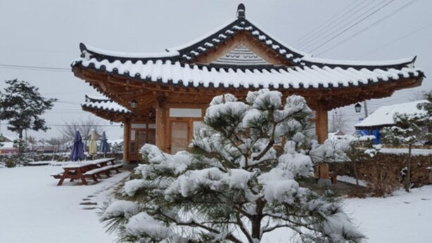 Un pavillon traditionnel en bois, avec un toit recouvert de neige et un pin chargé de neige au premier plan.