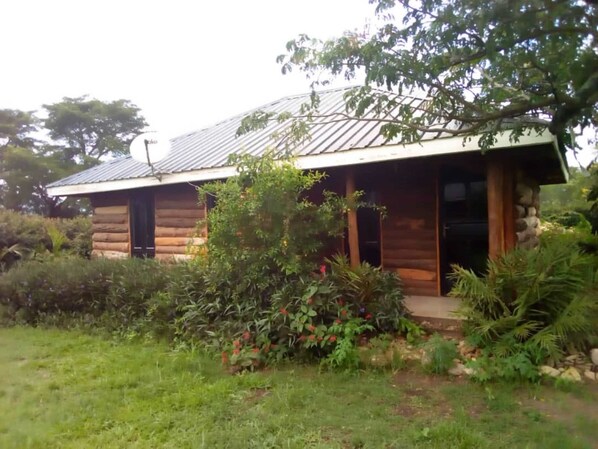 A log cabin with a metal roof, surrounded by lush greenery and flowering plants. - Marianah Tourist Hotel (Mahyoro)