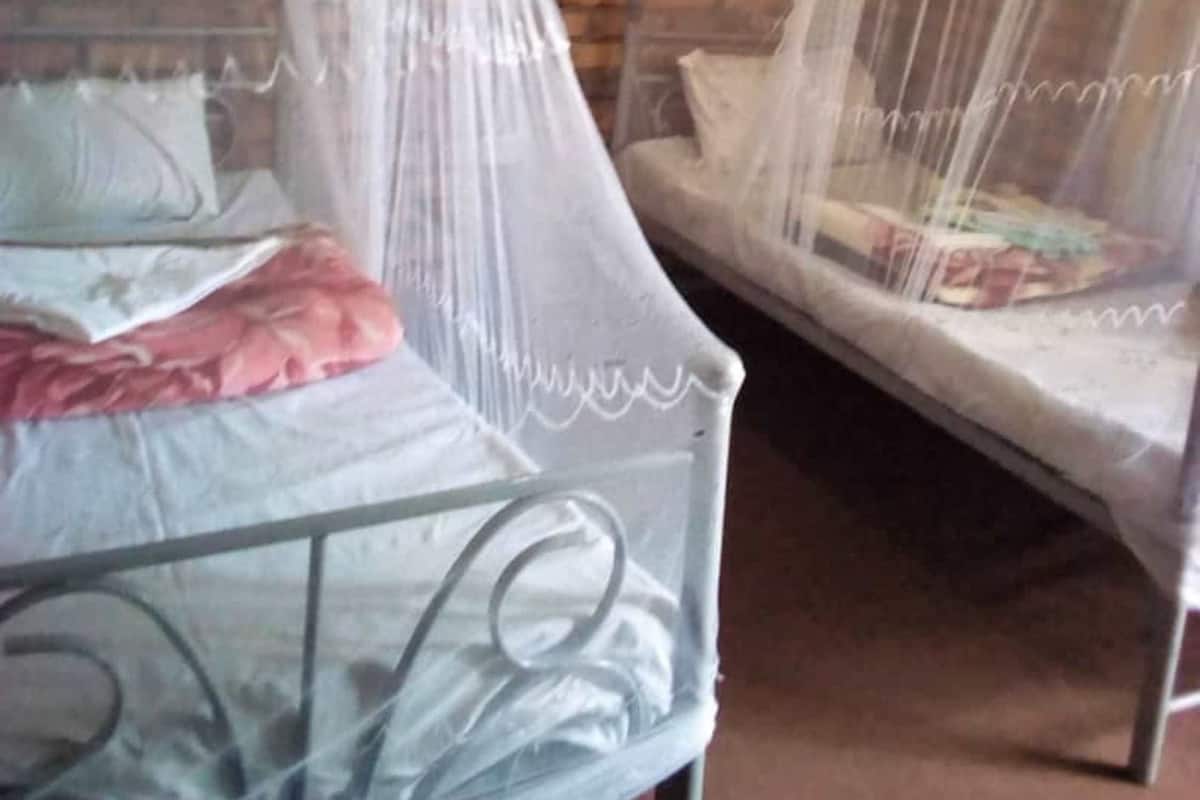 A room with two beds, each covered with mosquito netting, and a brick wall in the background.