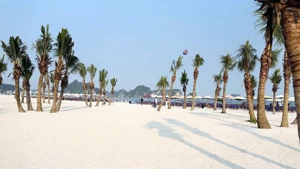 A beach with palm trees and umbrellas. - Padama Hotel (Bai Chay)