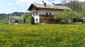 A large house with a balcony, surrounded by a field of yellow flowers. - MASO PINTERATO - Narciso apartment (Cavalese)