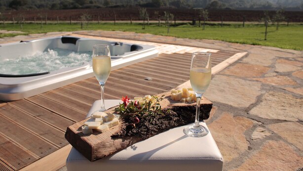 Ein Whirlpool und zwei Gläser Weißwein auf einem Holztisch mit Käse und Blumen, vor einer Weinbergsaussicht.