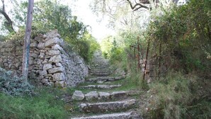 Eine steile Steintreppe führt durch üppiges Grün und Bäume hinauf.