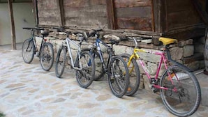 A row of bicycles parked outside a rustic wooden building with stone flooring.