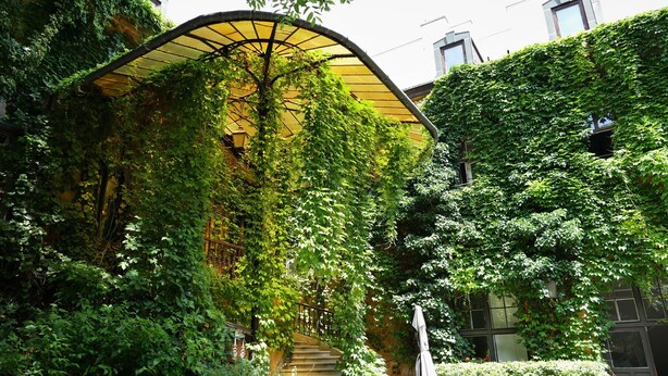 A building with a covered staircase and lush greenery.