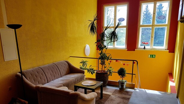 A living room with a brown sofa, a small table, and two potted plants. - Hostel jo-si (Kamenz)
