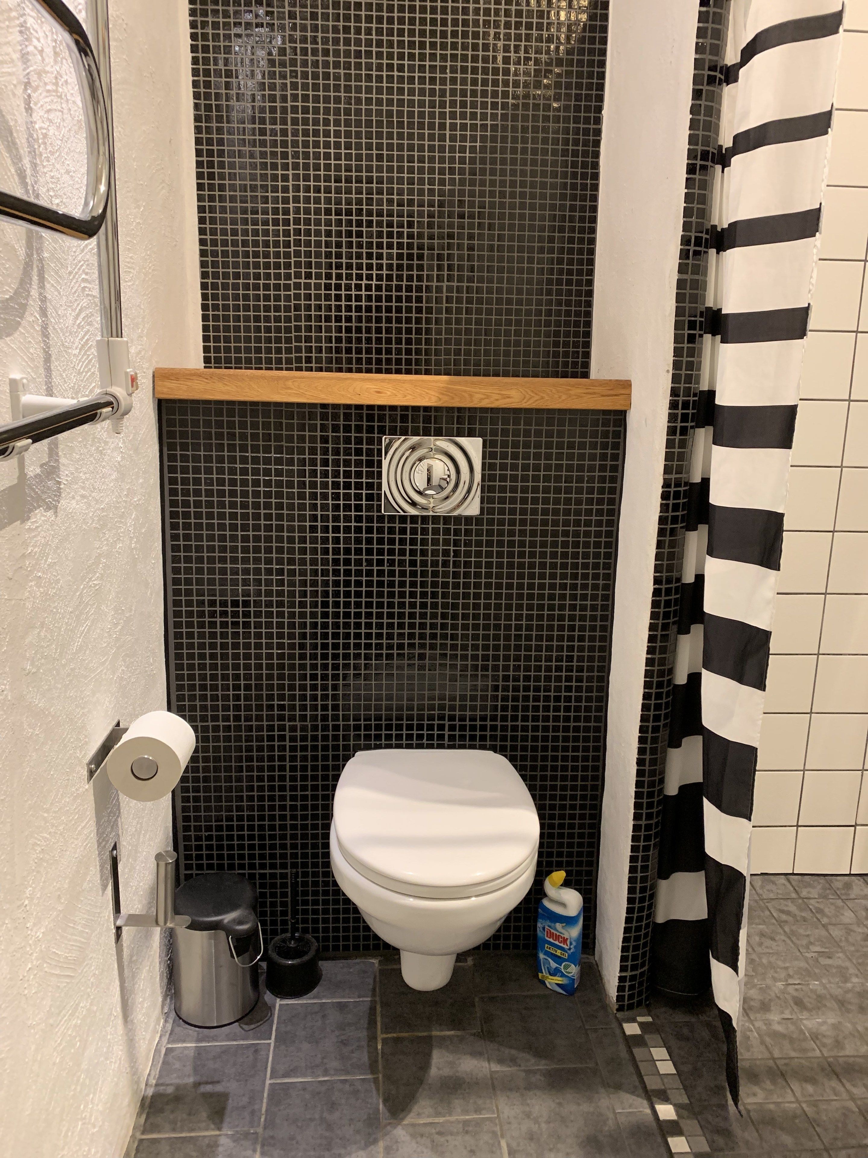 Casa de banho com sanita, chuveiro e chão em azulejos.