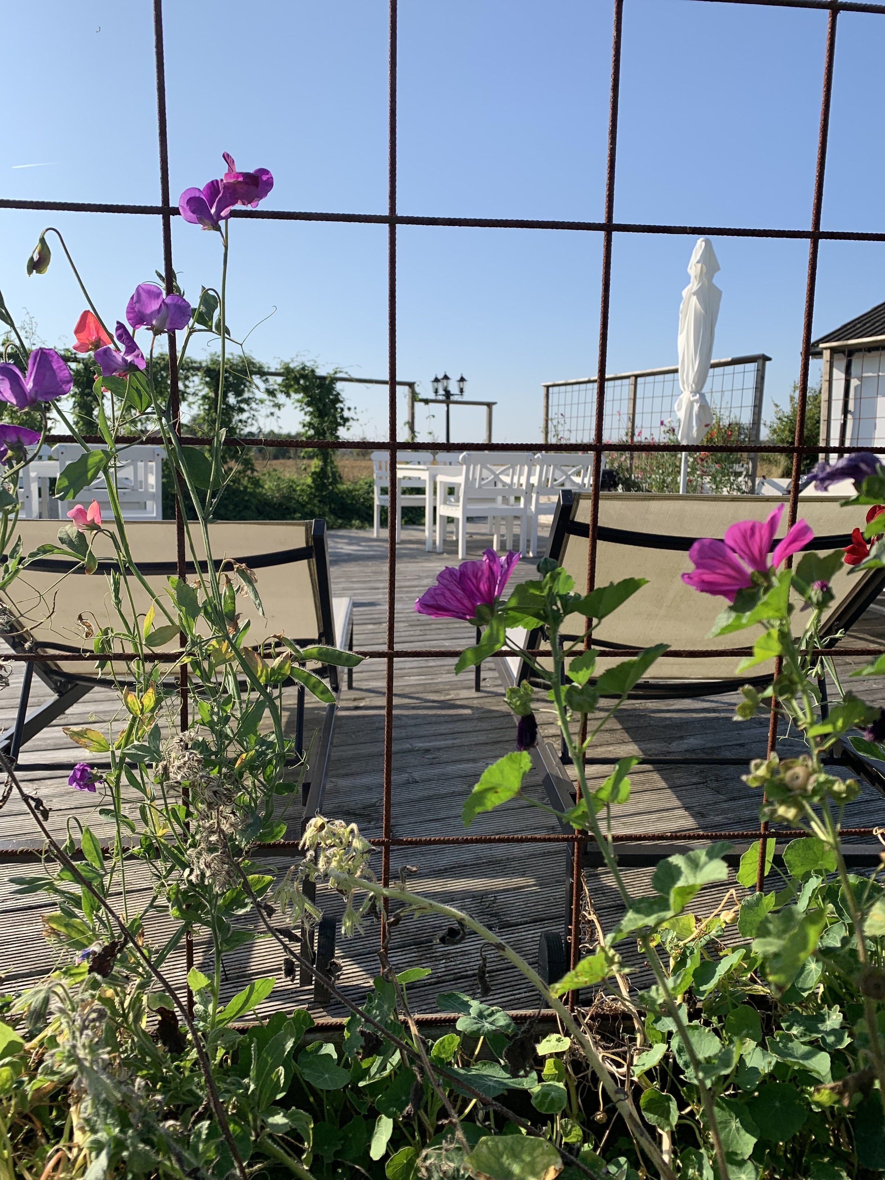 Un espace jardin agrémenté d’une clôture en métal, d’une terrasse en bois et de chaises blanches.