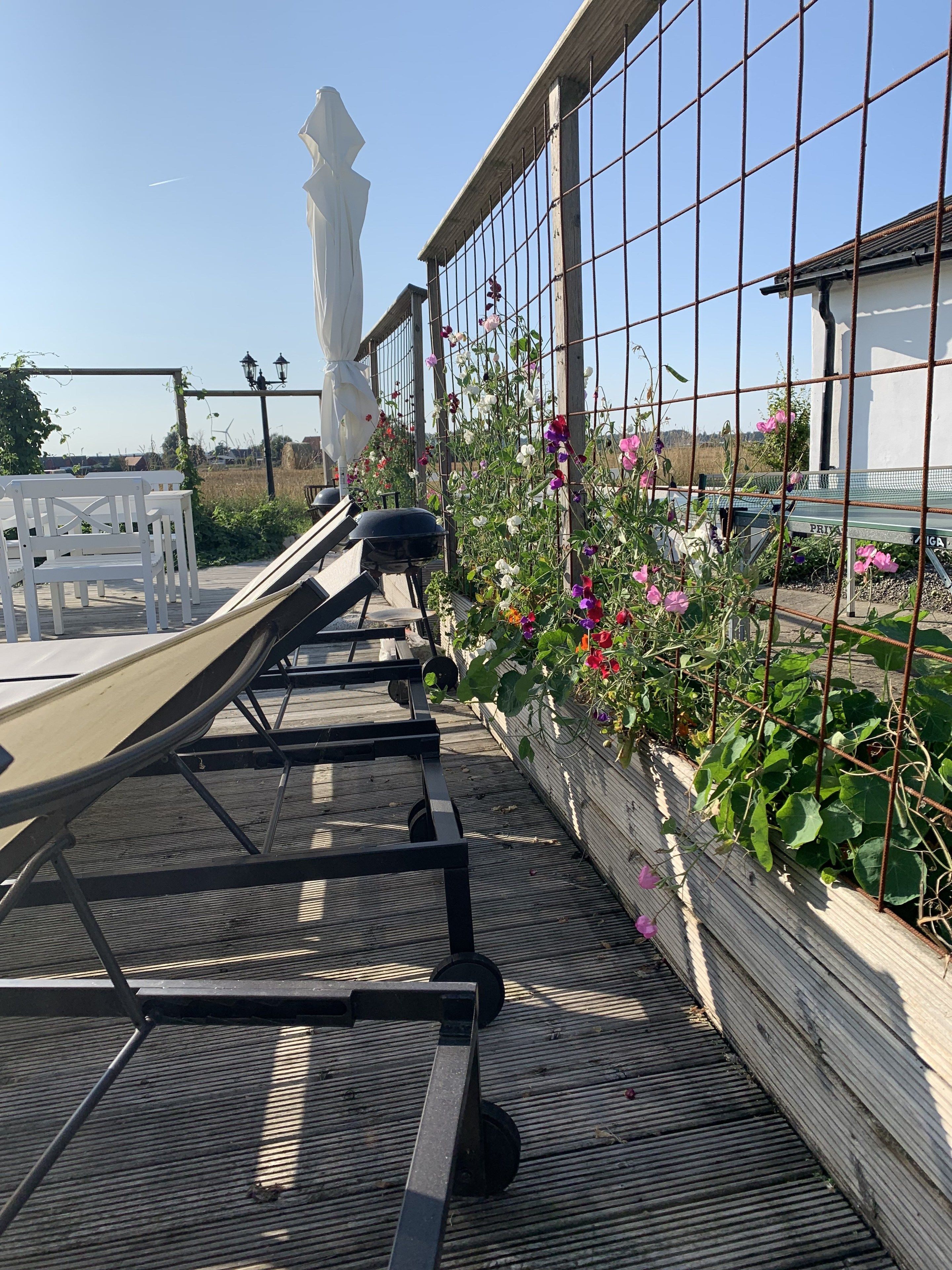 A wooden deck with exercise equipment, a white fence, and a garden with various plants and flowers.