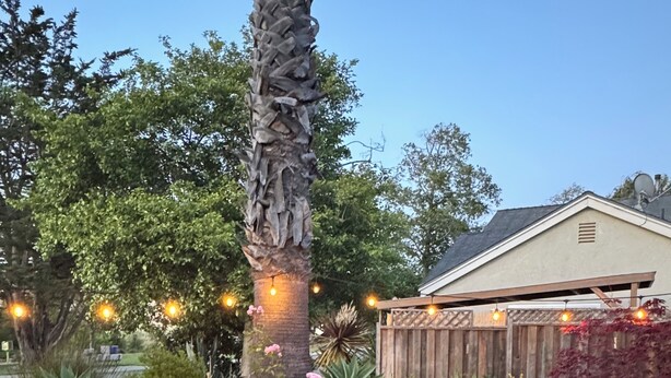 A patio area with a wooden fence, potted plants, a table with a vase, and a wooden chair. - Private SLO Retreat - Bishop Peak Views, Near Cal Poly, Downtown & Wineries (San Luis Obispo)