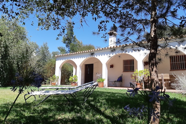 Alcornoque Casita