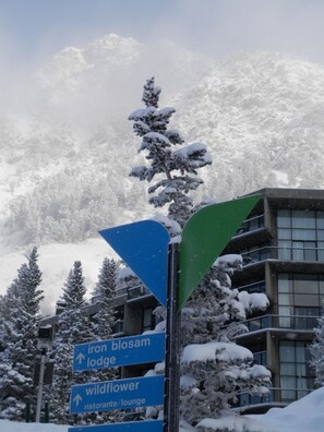 Détail de l’extérieur