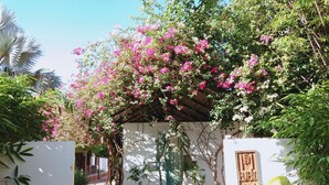 A garden with a statue, a pergola with flowering vines, and a white wall with a sign. - Eureka Villas Siem Reap (Siem Reap)