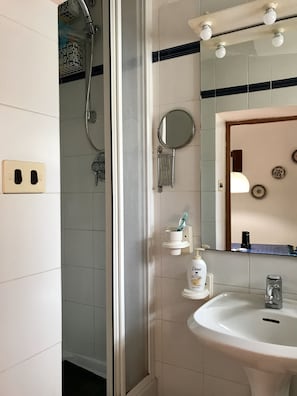 Shower, hair dryer, bidet, towels