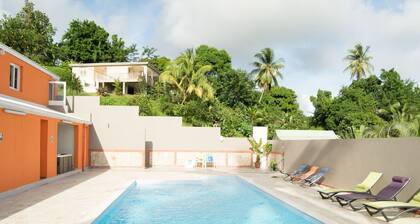 Die Domäne von Titin - Moove