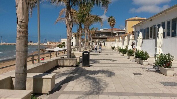 Una passeggiata lungomare con palme, panchine e piante in vaso.