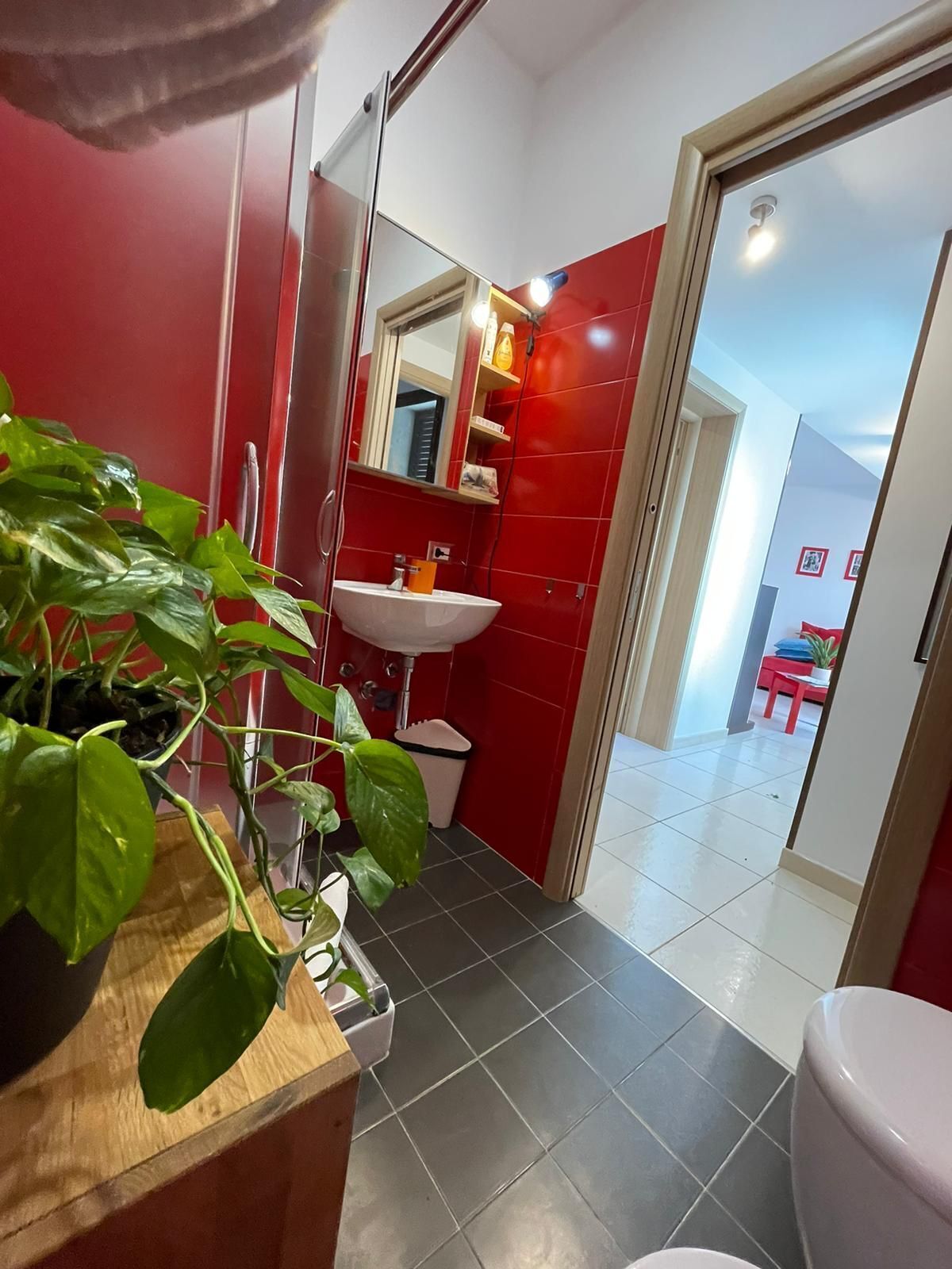 Shower, hair dryer, bathrobes, bidet