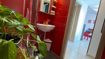 Shower, hair dryer, bathrobes, bidet