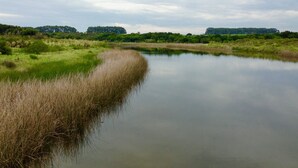 A calm river with grassy banks and trees in the background. - Beach House facing the sea in dreaming Estancia (Punta del Este)