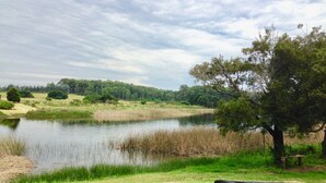 A grassy area with a pond, trees, and a picnic table. - Beach House facing the sea in dreaming Estancia (Punta del Este)