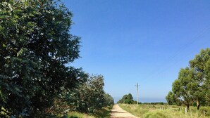 A rural road flanked by dense foliage and a clear blue sky. - Beach House facing the sea in dreaming Estancia (Punta del Este)