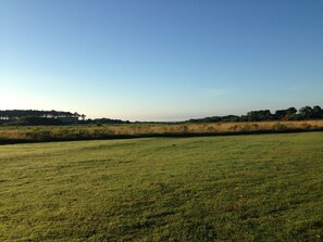 Niet-geclassificeerde afbeelding, 3 van 18, knop