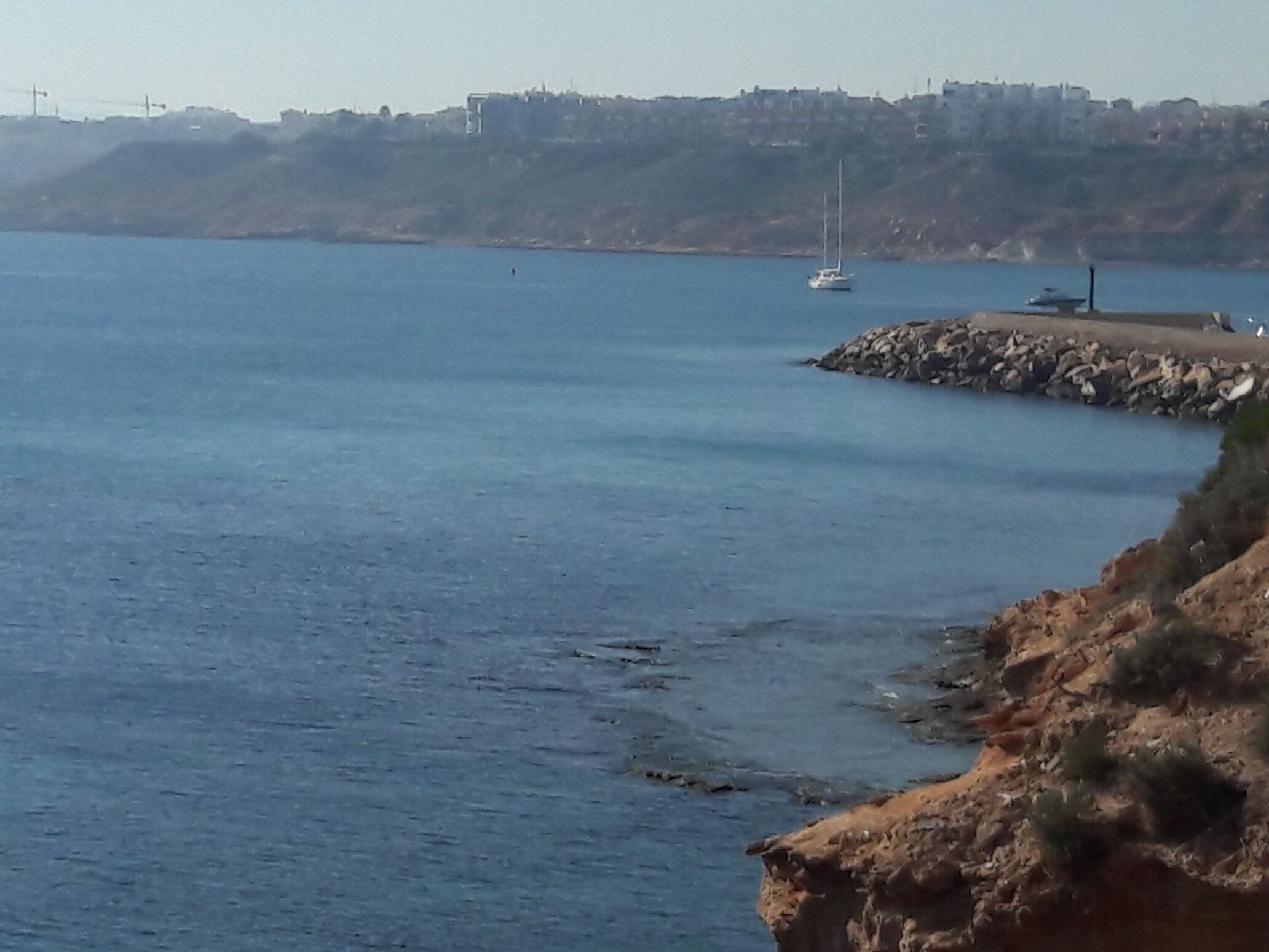 A coastal scene with calm water, a rocky shoreline, and a distant cityscape.