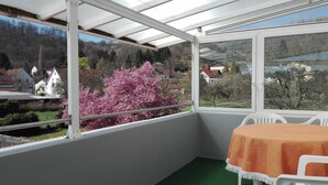 Appartement (1. OG) | Terras