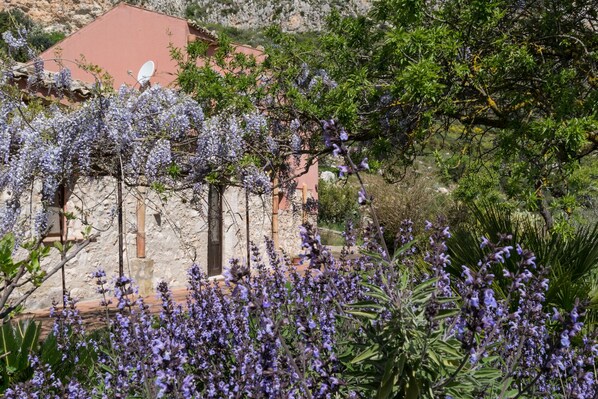 Property grounds - Marmotta ancient rural house on the slopes of Erice (Valderice)