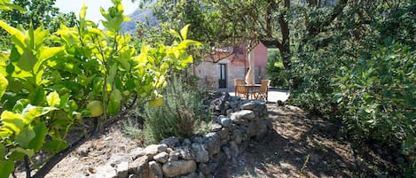 Parco della struttura
