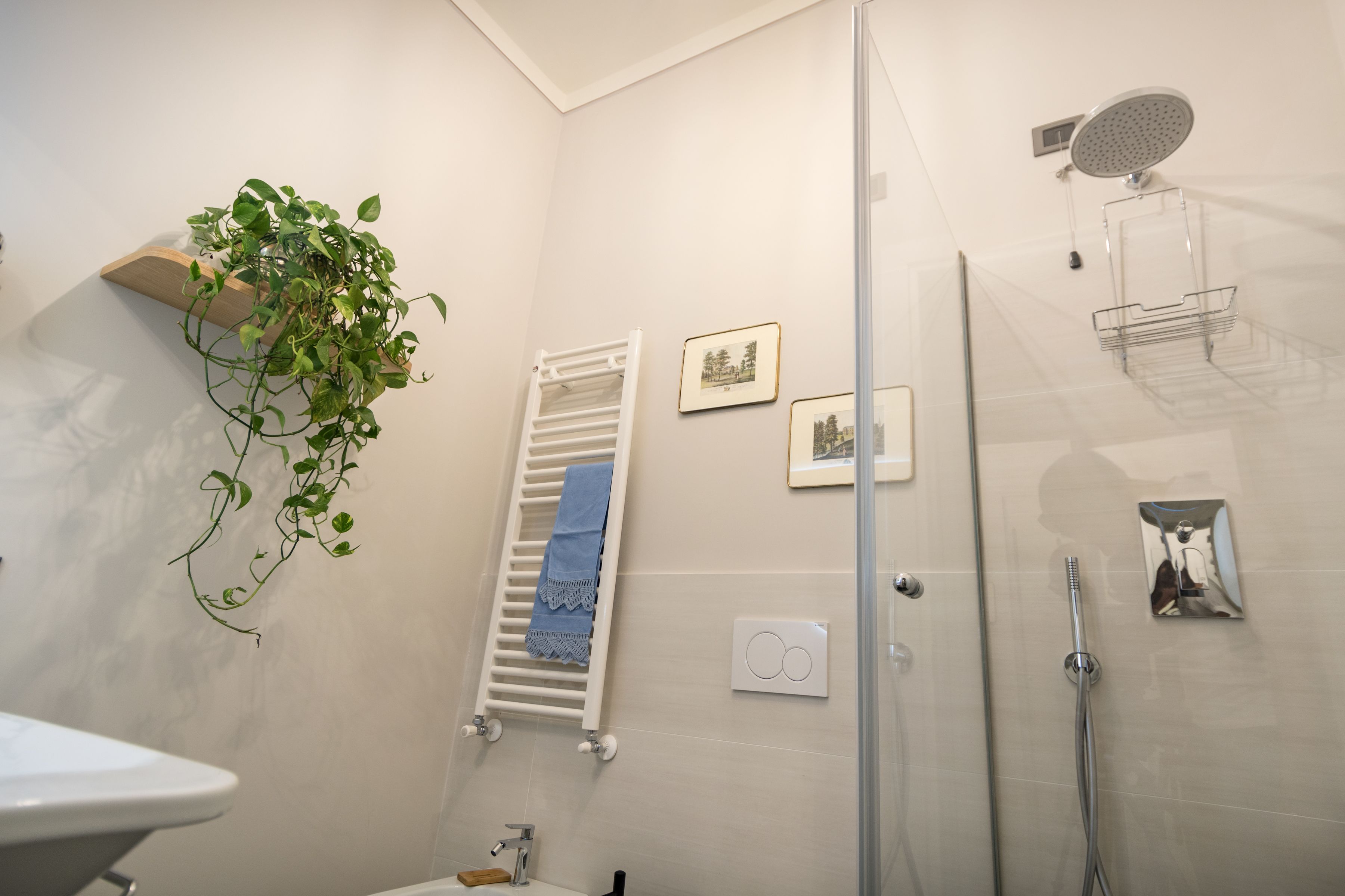 Un bagno moderno con cabina doccia in vetro, un porta asciugamani bianco e una pianta in vaso.